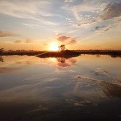 Bush Inn Springs, Gauteng avatar