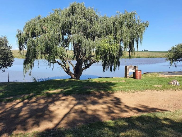 Kamp Rietspruitdam Boesmanland Lapa Kamp 768x576